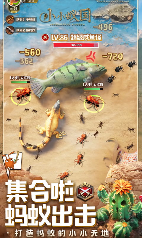 https://api.bobopai.com/static/uploads/20250730001458523.png